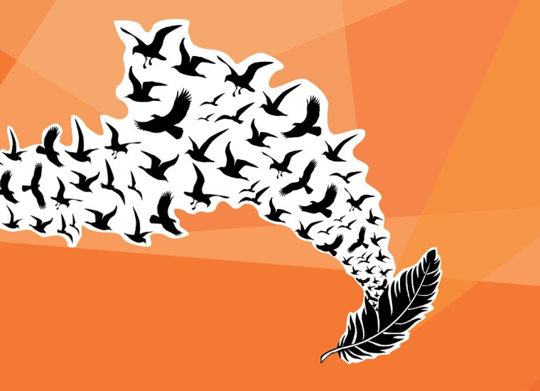 black birds flying out of orange feather